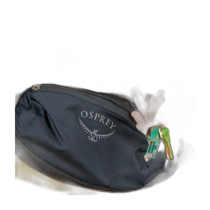 Torebka OSPREY Daylite Waist /  czarny