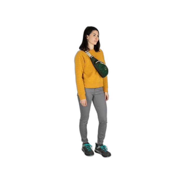 Torebka OSPREY Daylite Waist /  brązowy