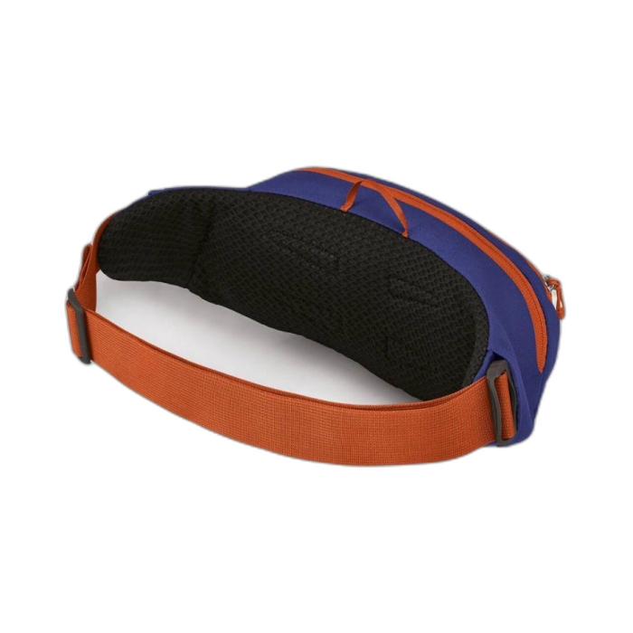 Torebka OSPREY Daylite Waist /  szary