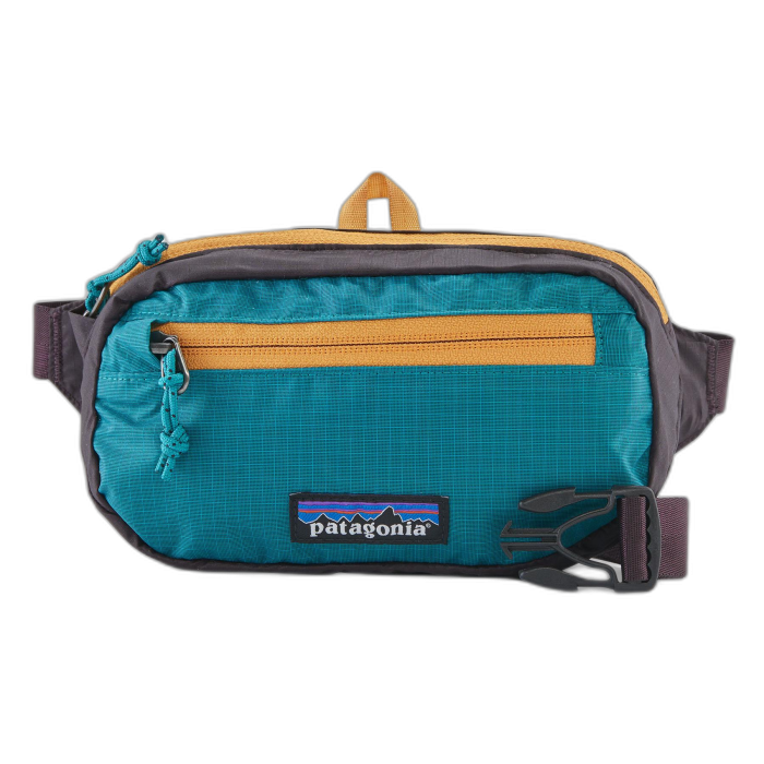Torebka PATAGONIA Ultralite Travel Mini Hip /  wielokolorowy