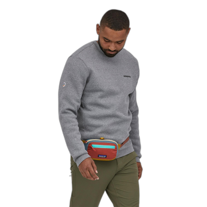 Torebka PATAGONIA Ultralite Travel Mini Hip /  wielokolorowy