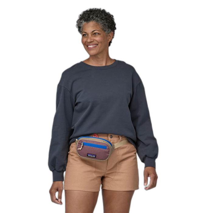 Torebka PATAGONIA Ultralite Travel Mini Hip /  wielokolorowy