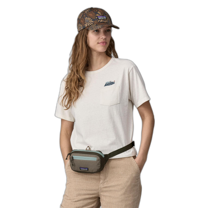 Torebka PATAGONIA Ultralite Travel Mini Hip /  wielokolorowy