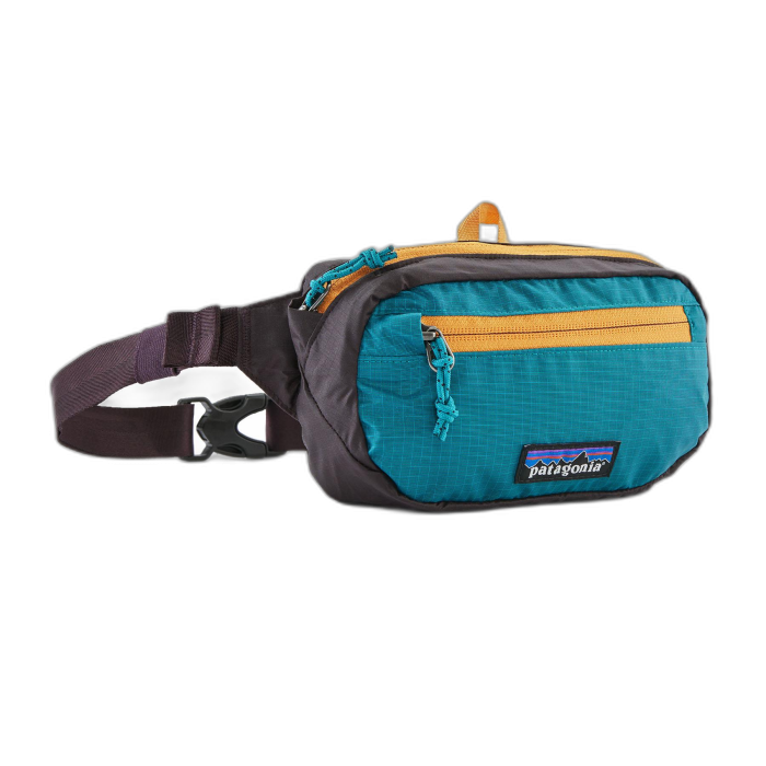 Torebka PATAGONIA Ultralite Travel Mini Hip /  wielokolorowy